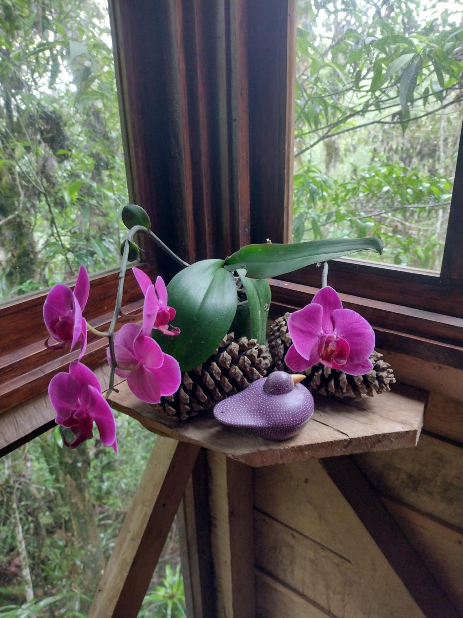 Paraiso Verde Chijou Eksteriør bilde