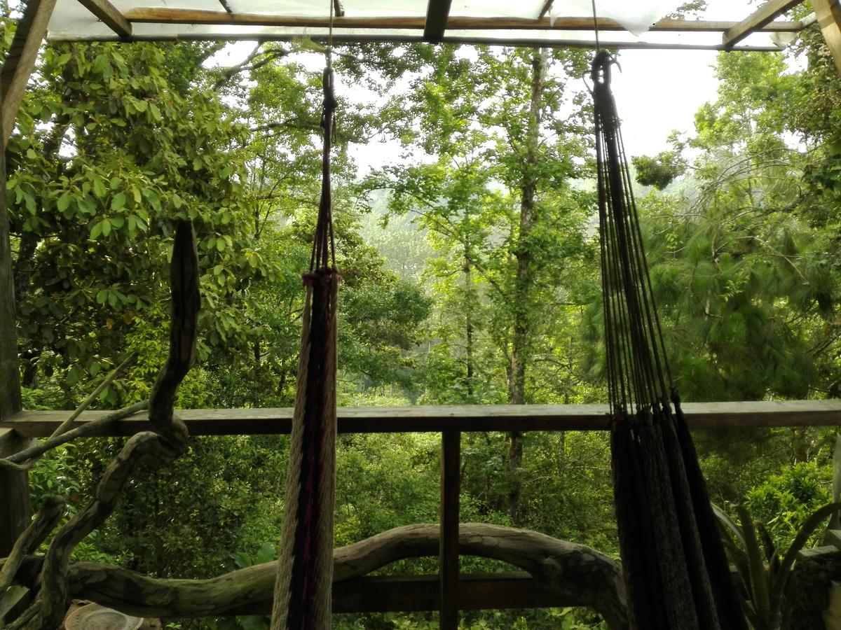 Paraiso Verde Chijou Eksteriør bilde