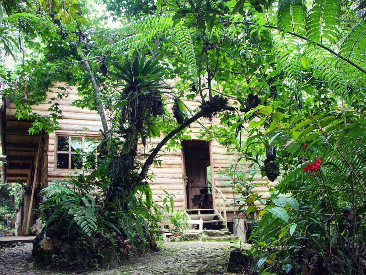 Paraiso Verde Chijou Eksteriør bilde