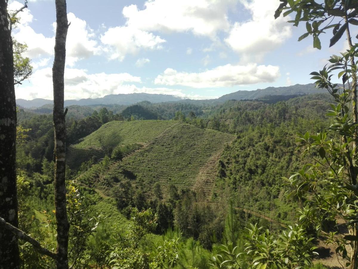 Paraiso Verde Chijou Eksteriør bilde